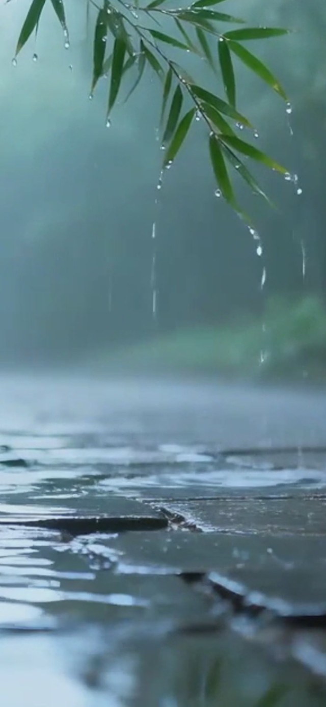 细雨竹林