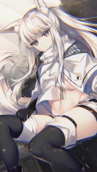 兽娘小狐狸4k