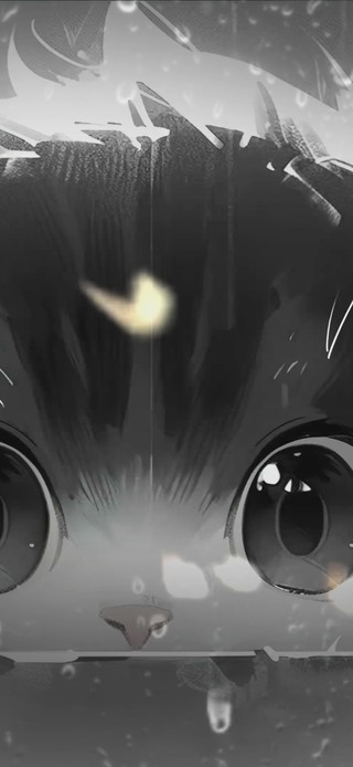 小黑猫