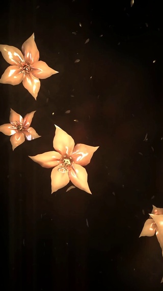 花儿