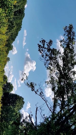 唯美自然风景