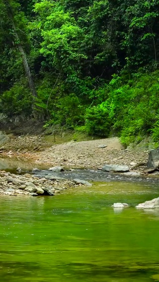 山间清新溪流