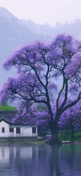 日有小暖 湖有小屋