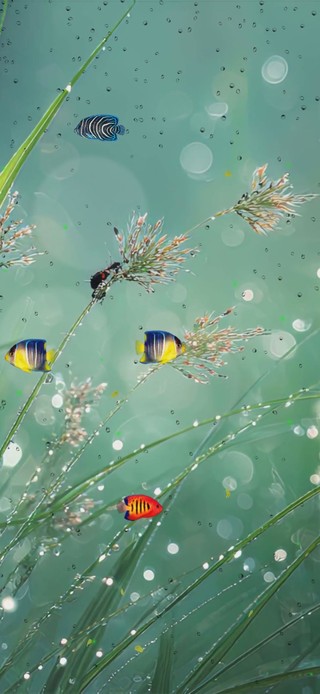 小清新
