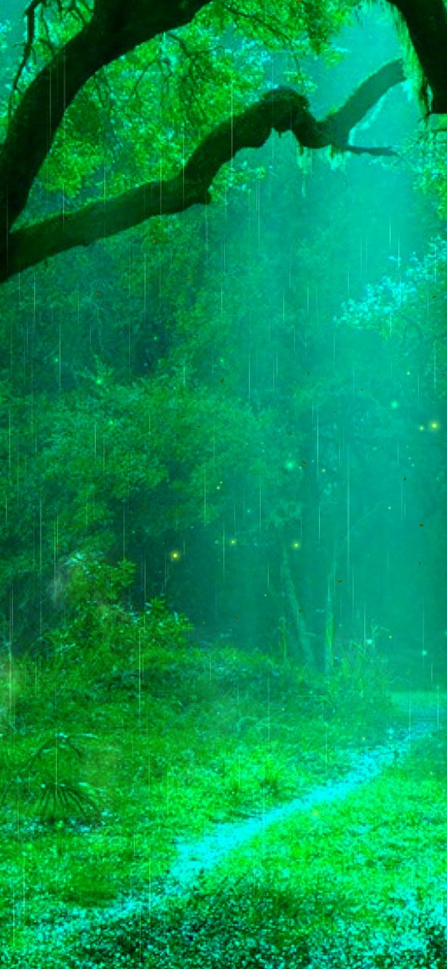 护眼雨天