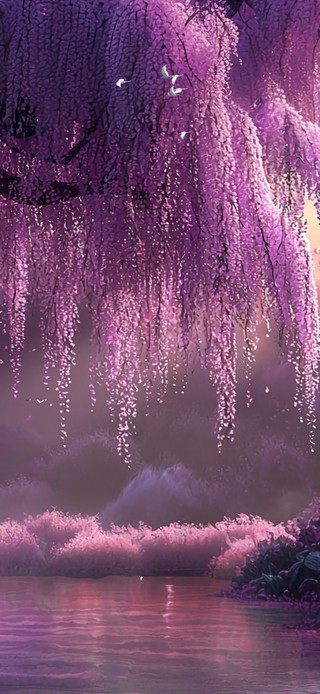 紫藤树下