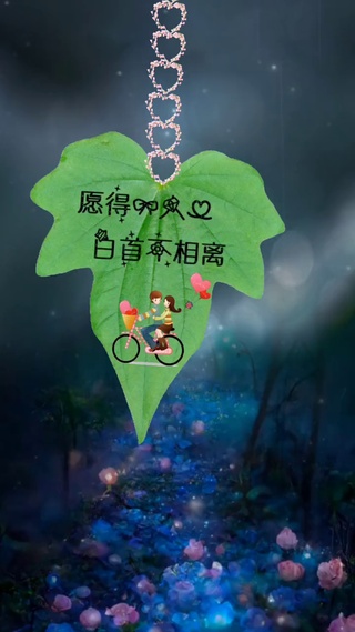 愿得一心人，白首不相离