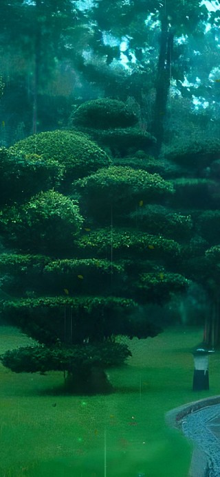 治愈护眼雨天绿林