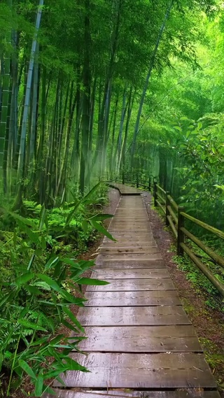 清新空气