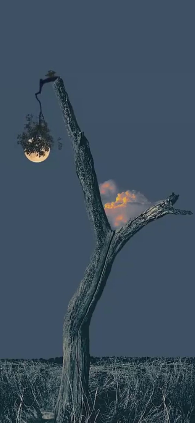 这夜空了，连梦都荒凉