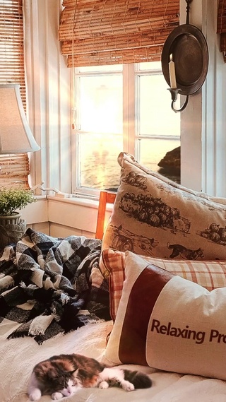 海滩边舒适的小屋