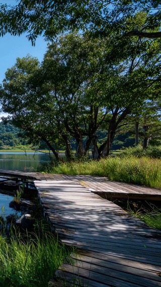 护眼绿景山川树木河流