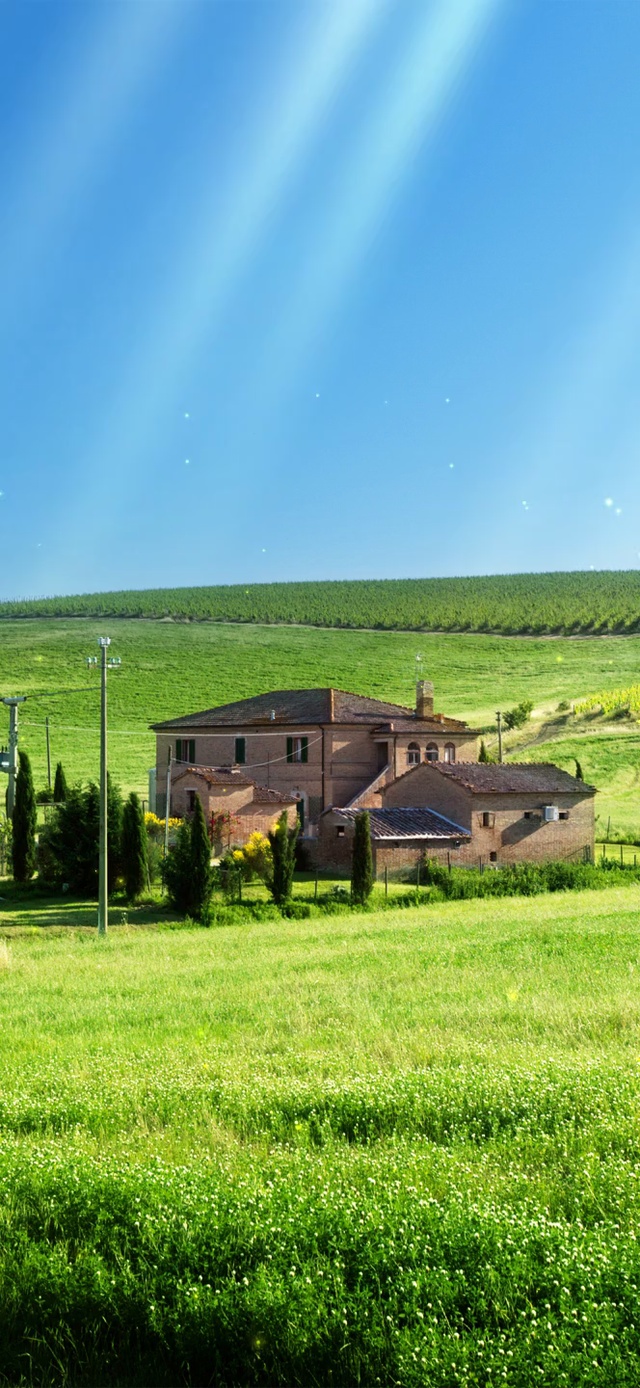 蓝天绿草地农村小屋