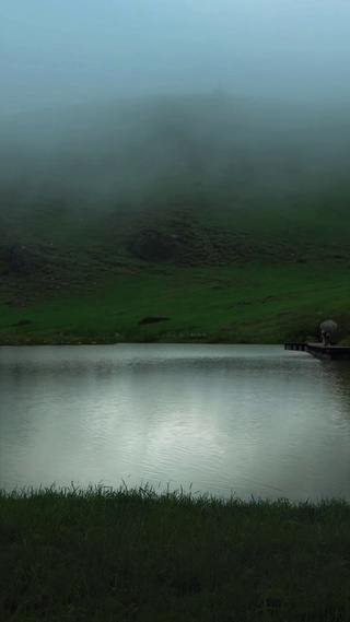 治愈风景