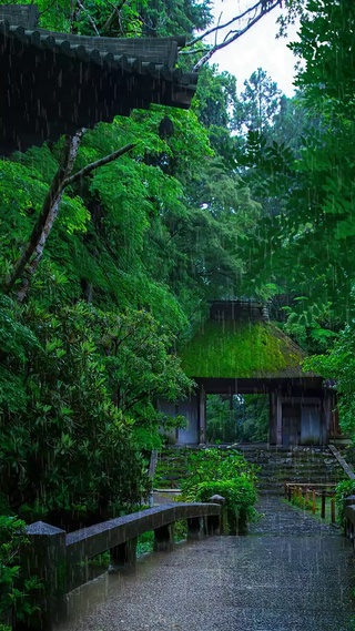 人生就是不断地送别,所有的相遇,最终都会别离,只是告别的方式不同而已。