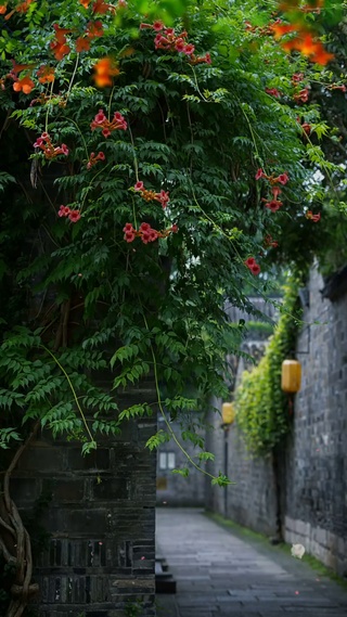 天青色等烟雨