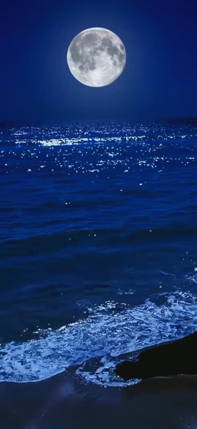 夜晚海景(风景手机动态壁纸) - 风景手机壁纸下载 - 元气壁纸