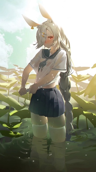 池塘里的jk小兔子