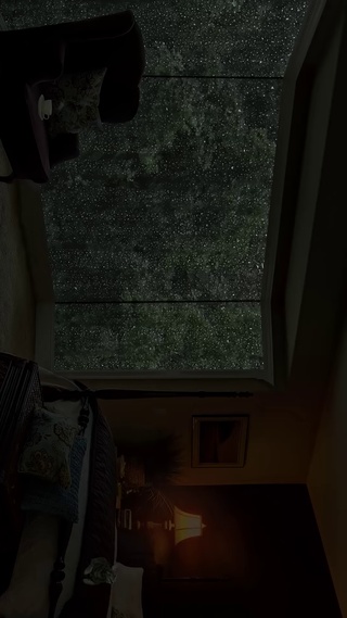 树林屋顶的雨声