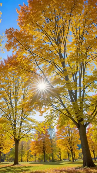 蓝天下秋林黄页