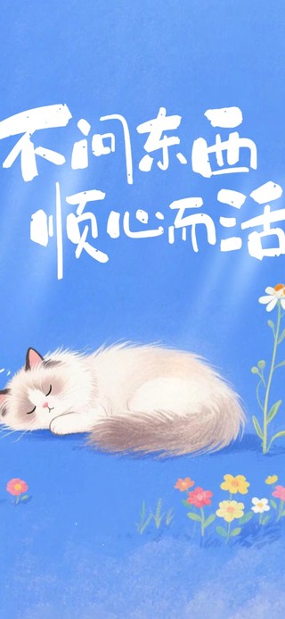 治愈猫咪 励志语录