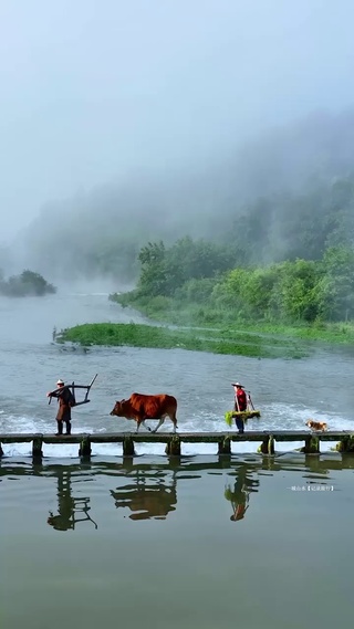 治愈美景