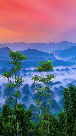 云海壁纸 云海手机壁纸 云海手机动态壁纸 元气壁纸