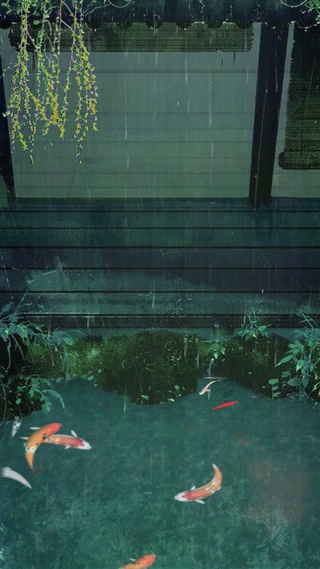 雨池观鲤鱼戏水