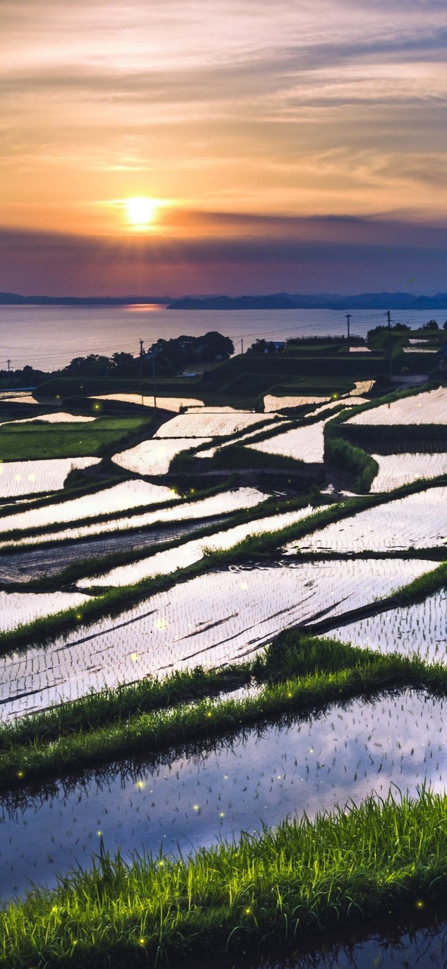 4K唯美治愈夕阳梯田海景
