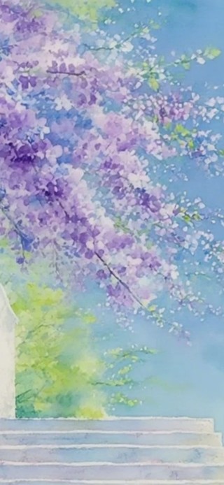 清新护眼