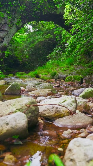 桥下山涧小溪流