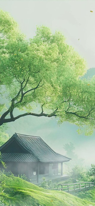 护眼绿景