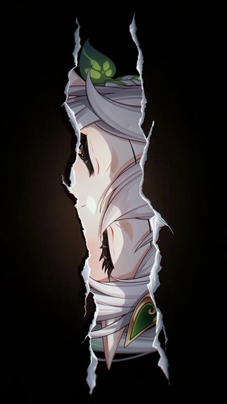 裂隙里的星眸纳西妲