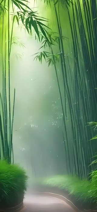4k护眼绿色竹林