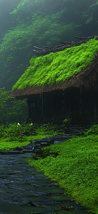 雨中茅屋