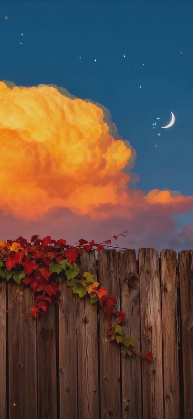 夜景下篱笆树叶