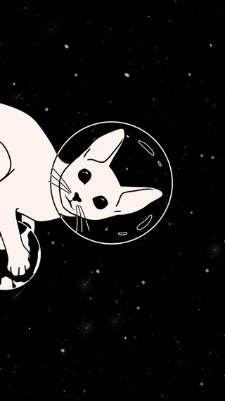 太空猫
