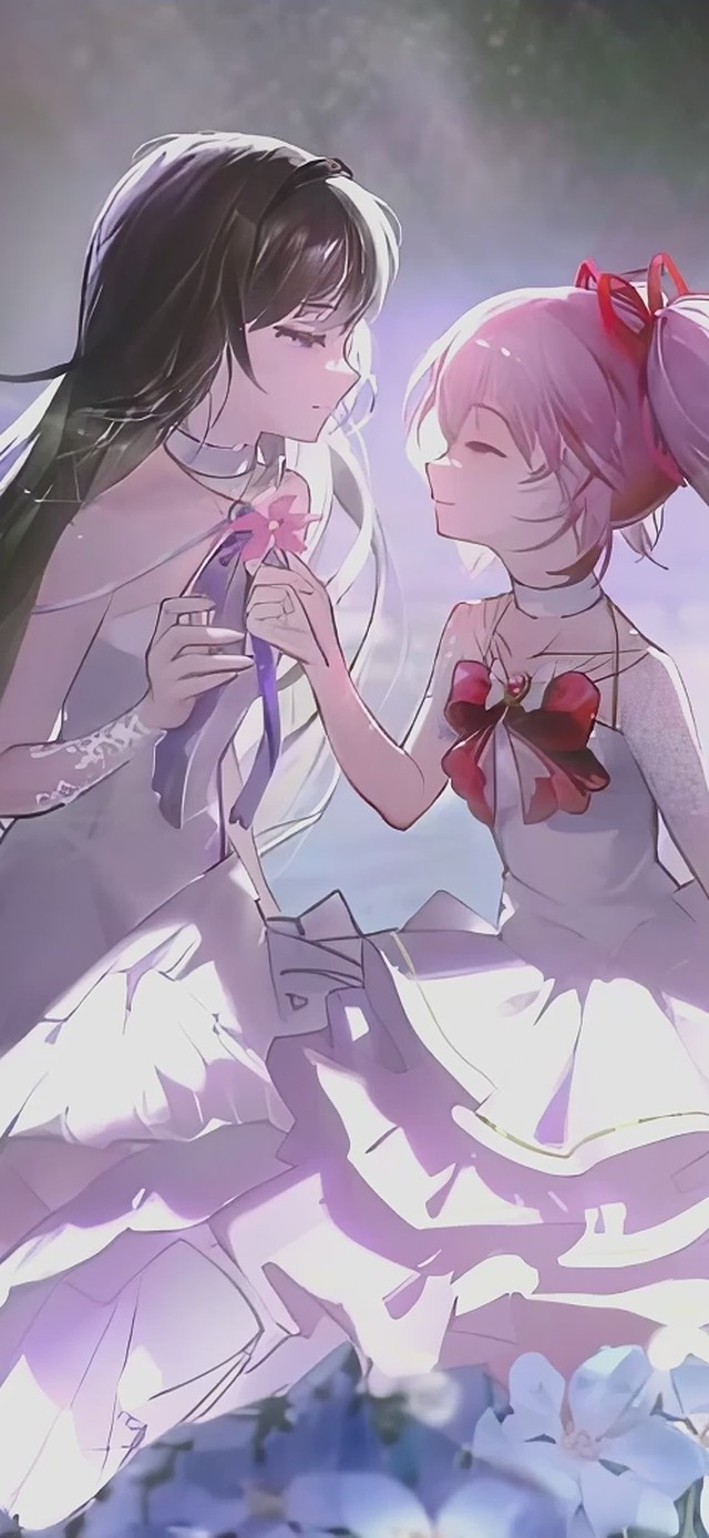 Madoka and Homu