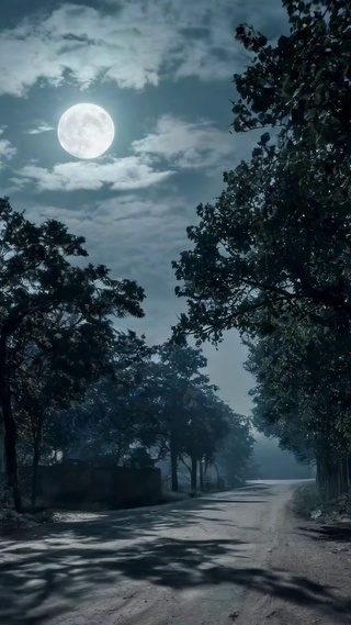 静谧满月乡村夜景
