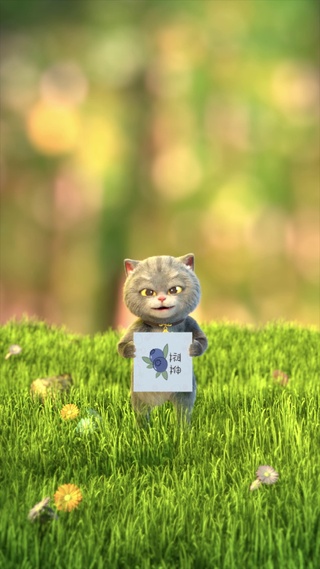 斑布猫-想我了没