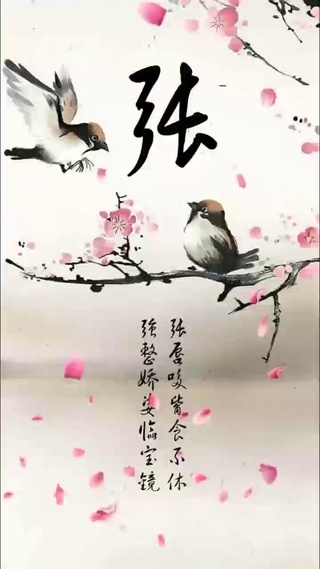 杜鹃 梅花的季节