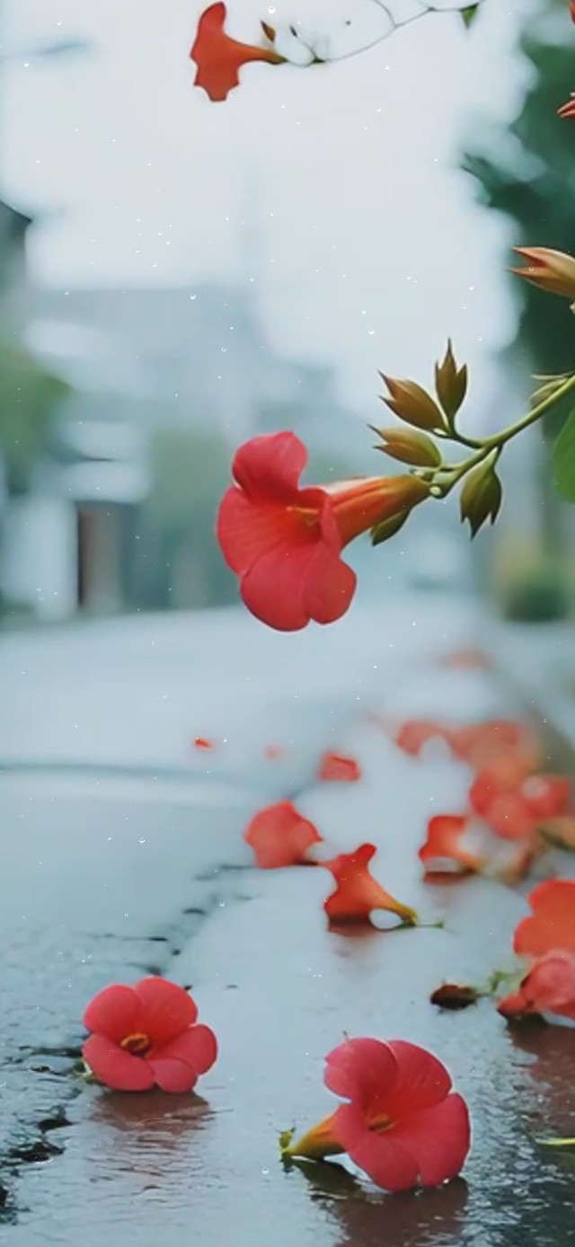 雨中街道