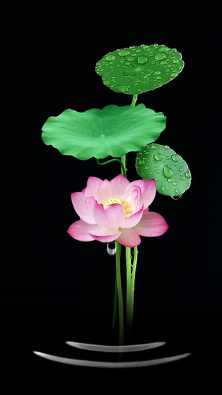 水滴解压