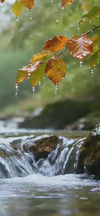 雨中溪流