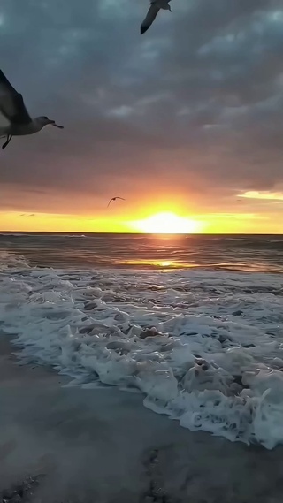 海上日出①