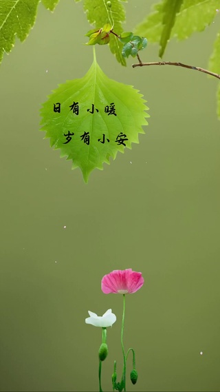 日有所暖 岁有小安