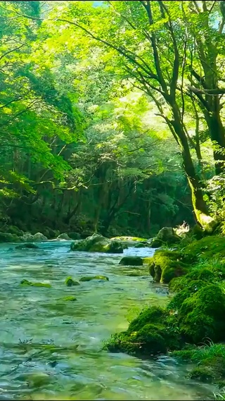 潺潺流水