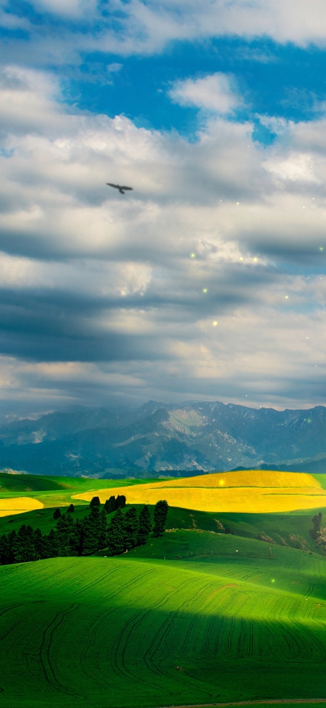 4K新疆护眼草原风光