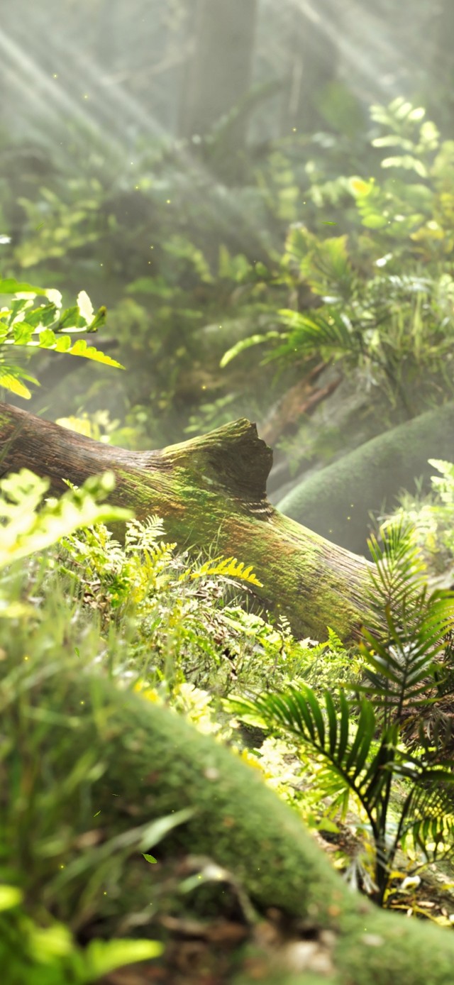 1K护眼绿色森林