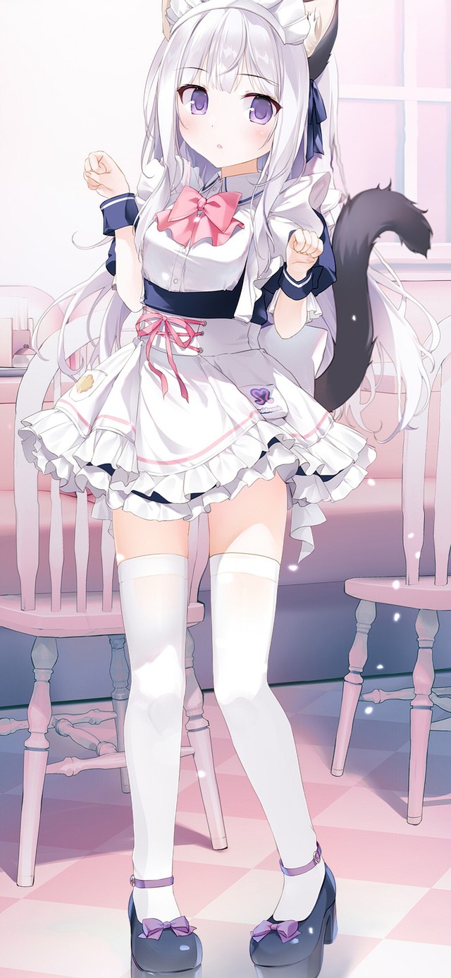 4K可爱兽娘猫娘女仆